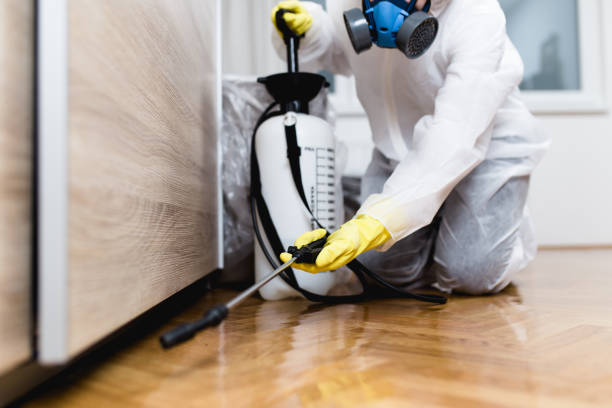 Best Affordable Pest Control Services  in Big River, CA