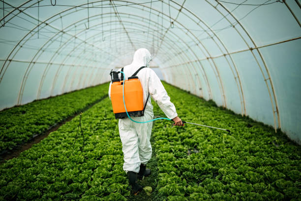 Best Affordable Pest Control Services  in Big River, CA