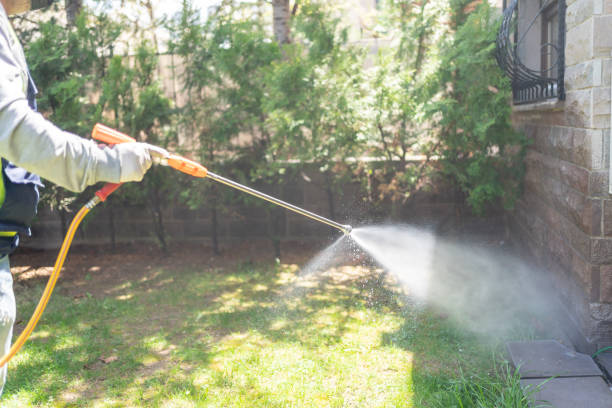 Best Wasp Removal Services  in Big River, CA
